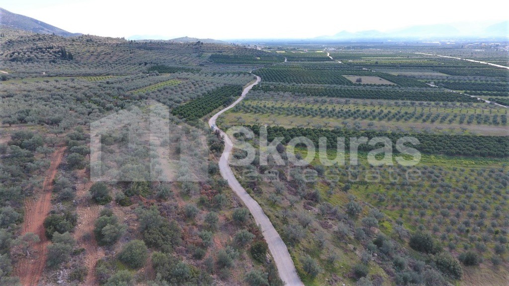 Αγροτεμάχια 6.996 τ.μ. προς πώληση, Μυκήνες