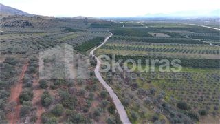 Αγροτεμάχια 6.996 τ.μ. προς πώληση, Μυκήνες-thumb-3