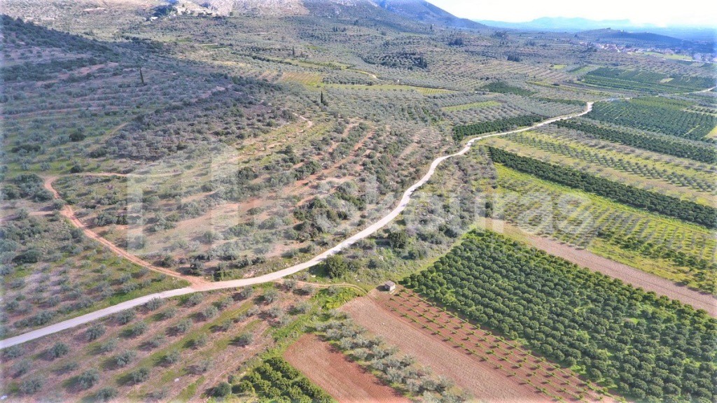 Αγροτεμάχια 6.996 τ.μ. προς πώληση, Μυκήνες