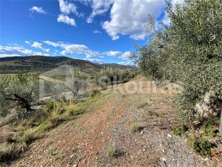 Αγροτεμάχια 6.996 τ.μ. προς πώληση, Μυκήνες-thumb-20