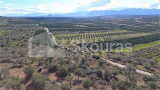 Αγροτεμάχια 6.996 τ.μ. προς πώληση, Μυκήνες-thumb-7