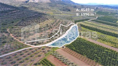 Αγροτεμάχια 6.996τ.μ. για πώληση-Μυκήνες