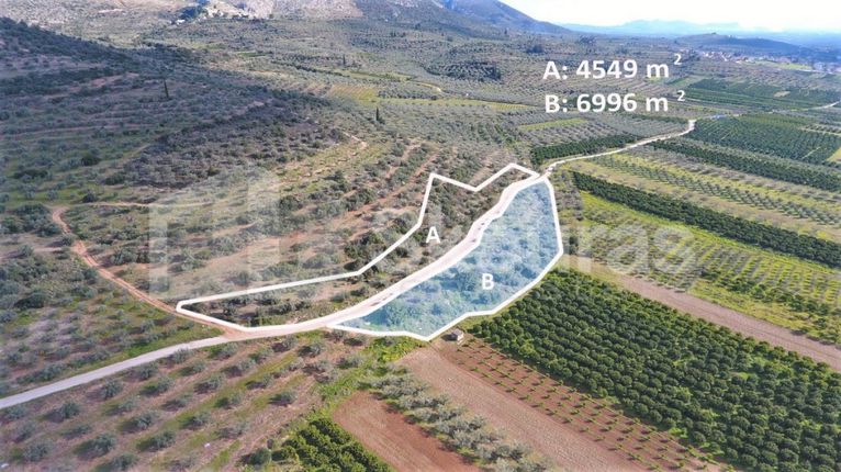 Αγροτεμάχια 6.996 τ.μ. για πώληση, Αργολίδα, Μυκήνες