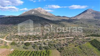 Αγροτεμάχια 6.996 τ.μ. προς πώληση, Μυκήνες-thumb-6