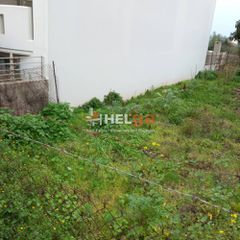 Οικόπεδο 433 τ.μ. για πώληση, Αχαΐα, Πάτρα-thumb-15