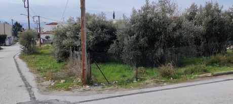 Οικόπεδο 334τ.μ. για πώληση-Βόλος » Λεύκα