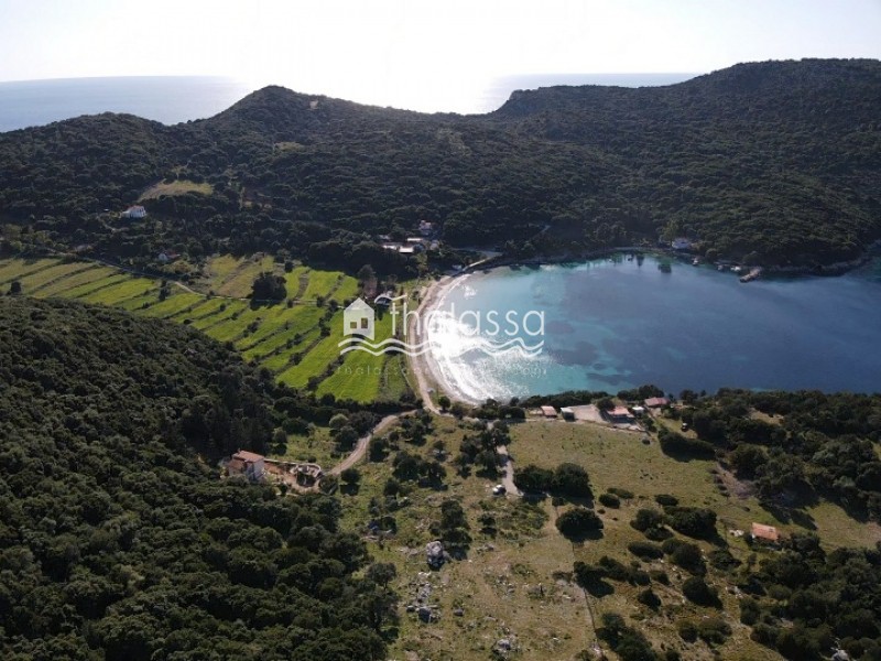 Αγροτεμάχια 5.800 τ.μ. προς πώληση, Παλική