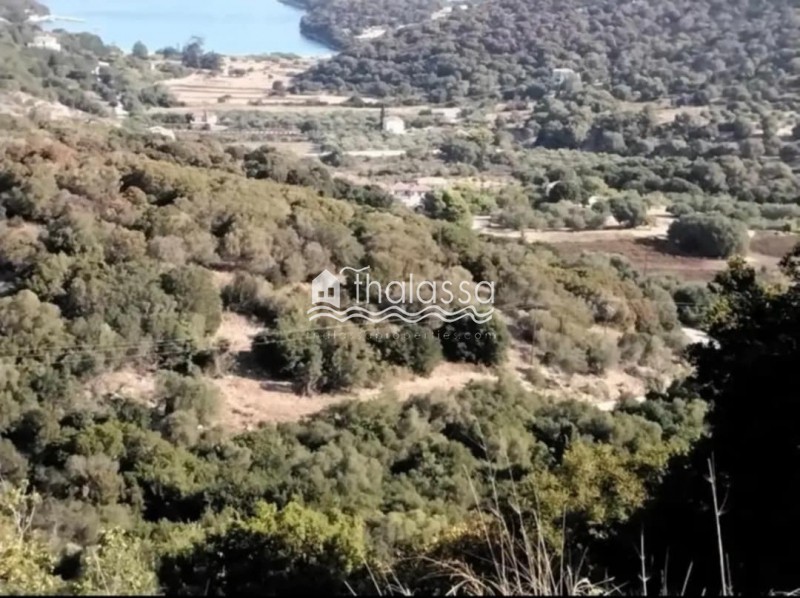 Αγροτεμάχια 5.800 τ.μ. προς πώληση, Παλική