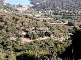 Αγροτεμάχια 5.800 τ.μ. για πώληση