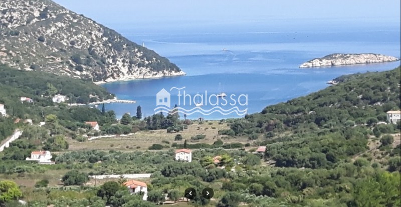 Αγροτεμάχια 5.800 τ.μ. προς πώληση, Παλική