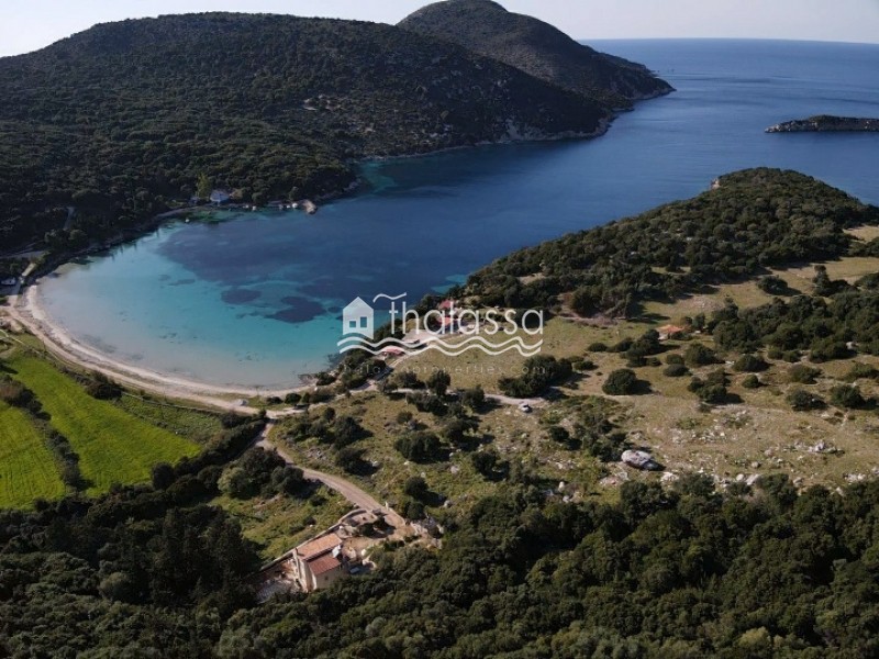 Αγροτεμάχια 5.800 τ.μ. προς πώληση, Παλική