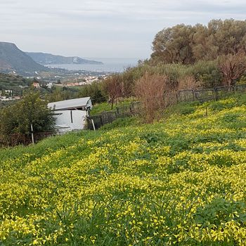 Οικόπεδο 818 τ.μ. για πώληση