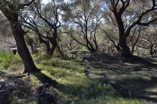 Οικόπεδο 2.455 τ.μ. για πώληση, Ν. Πρέβεζας, Πάργα-thumb-17