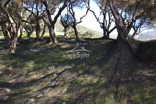 Οικόπεδο 2.455 τ.μ. για πώληση, Ν. Πρέβεζας, Πάργα-thumb-21