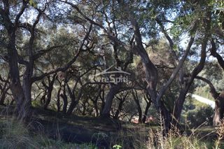 Οικόπεδο 2.455 τ.μ. για πώληση, Ν. Πρέβεζας, Πάργα-thumb-34