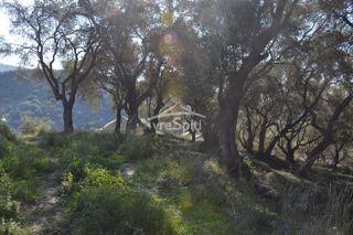 Οικόπεδο 2.455 τ.μ. για πώληση, Ν. Πρέβεζας, Πάργα-thumb-35