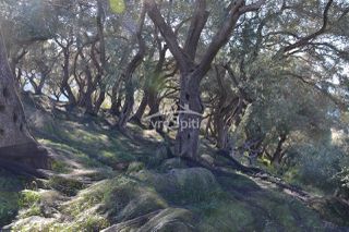 Οικόπεδο 2.455 τ.μ. για πώληση, Ν. Πρέβεζας, Πάργα-thumb-6