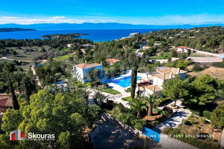 Βίλλα 750τ.μ. για πώληση-Κρανίδι