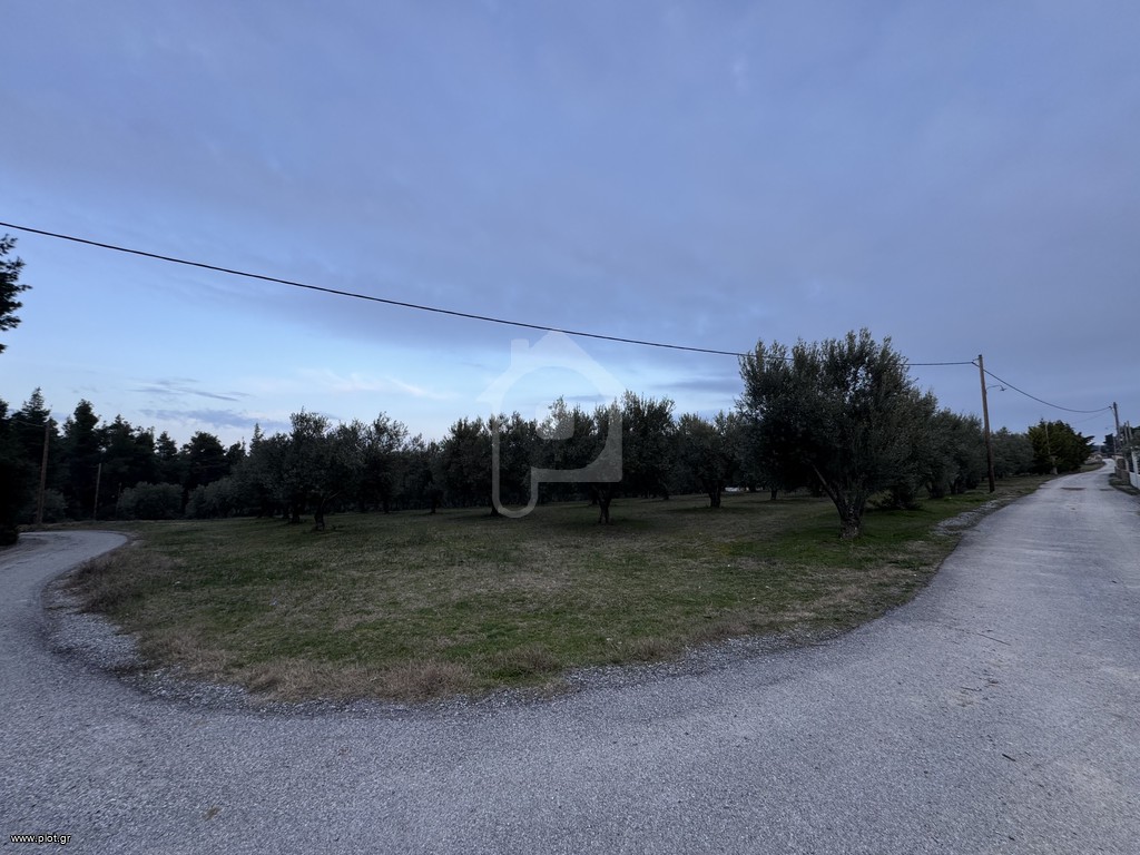 Οικόπεδο 10.000 τ.μ. προς πώληση, Κρυοπηγή Κασσάνδρας