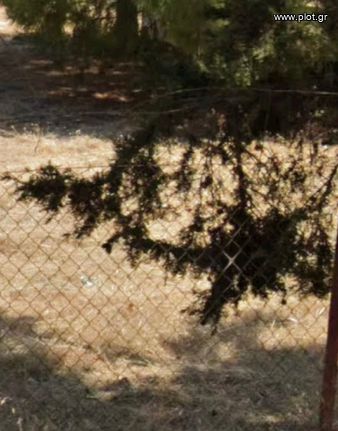Οικόπεδο 286 τ.μ. για πώληση, Αθήνα - Νότια Προάστια, Νέα Σμύρνη