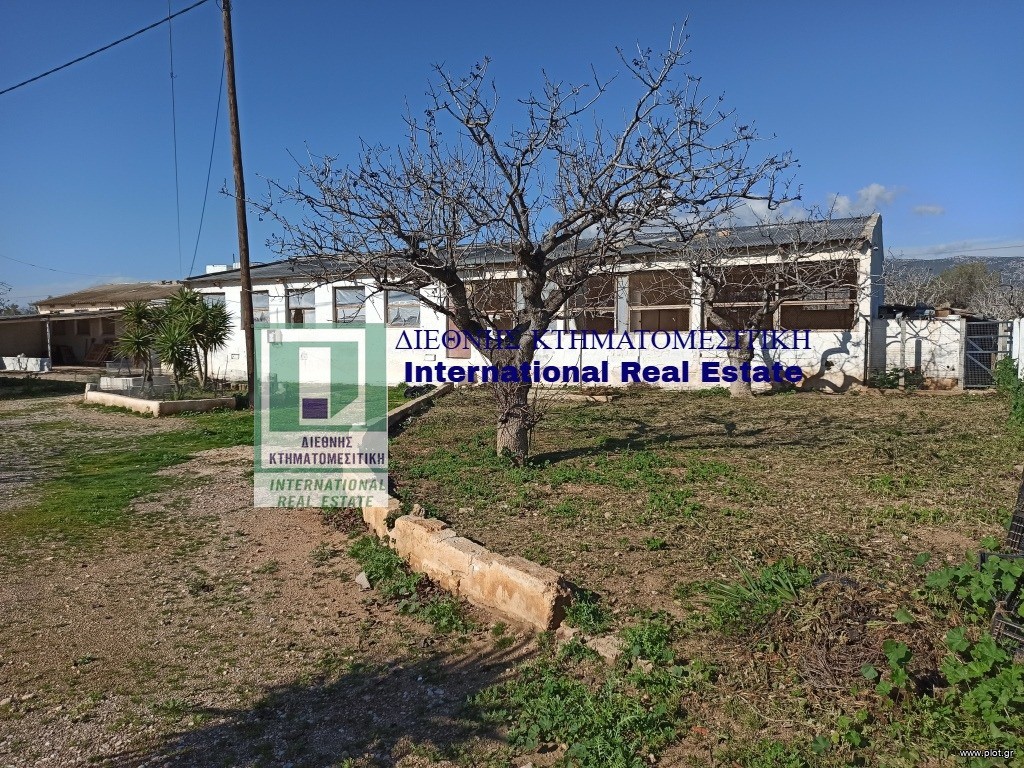 Επαγγελματικό 633 τ.μ. πρός πώληση, Αττική - Υπόλοιπο, Μέγαρα