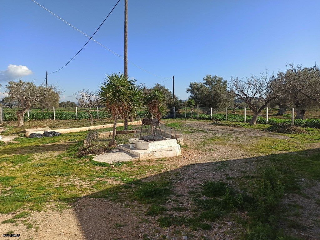 Επαγγελματικό 633 τ.μ. πρός πώληση, Αττική - Υπόλοιπο, Μέγαρα