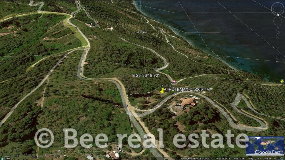 Αγροτεμάχια 5.000 τ.μ. προς πώληση, Γλώσσα Σκοπέλου