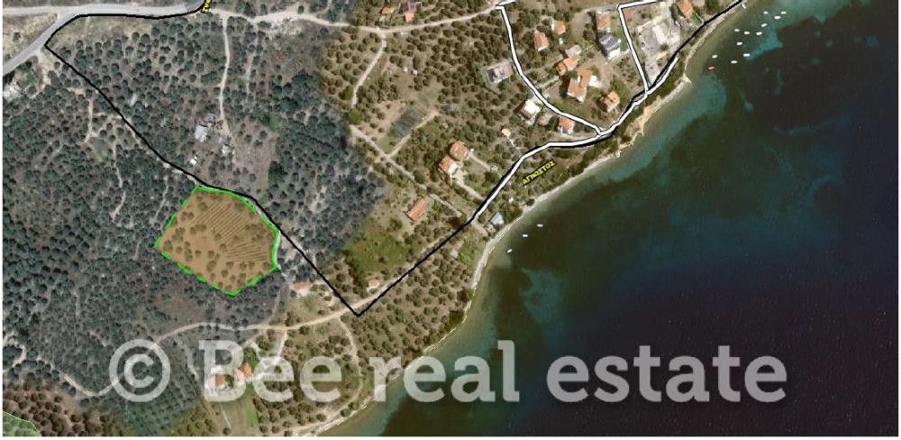 Αγροτεμάχια 6.398 τ.μ. προς πώληση, Βαθύκοιλο