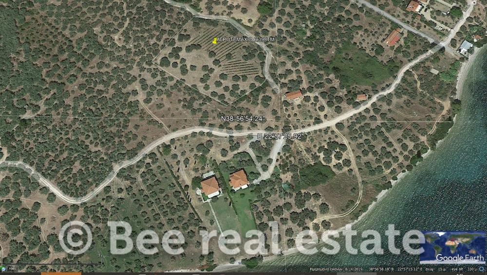 Αγροτεμάχια 6.398 τ.μ. προς πώληση, Βαθύκοιλο
