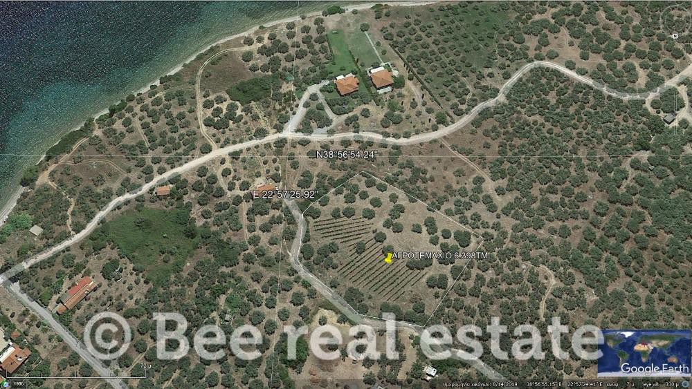 Αγροτεμάχια 6.398 τ.μ. προς πώληση, Βαθύκοιλο