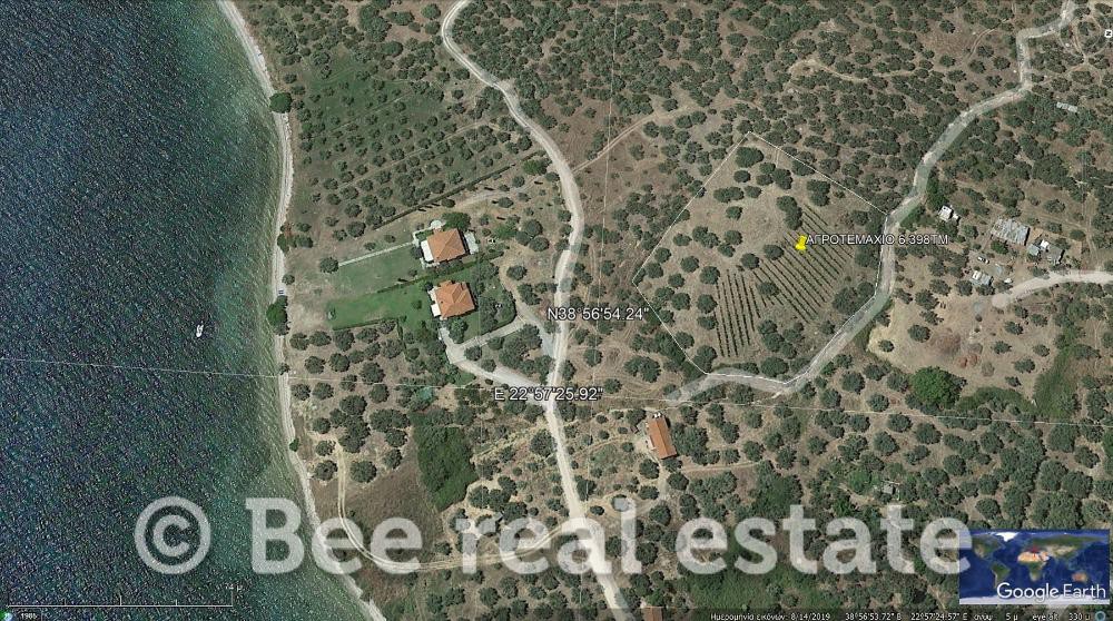 Αγροτεμάχια 6.398 τ.μ. προς πώληση, Βαθύκοιλο
