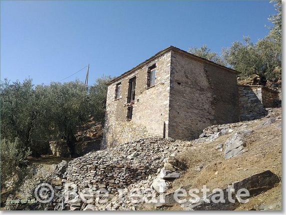 Οικόπεδο 4.392 τ.μ. για πώληση, Μαγνησία, Μηλιές