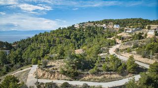 Αγροτεμάχια 880 τ.μ. πρός πώληση, Αργολίδα, Κρανίδι-thumb-16