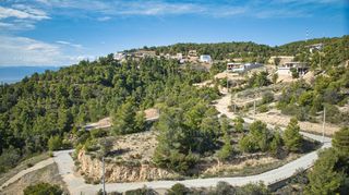 Αγροτεμάχια 880 τ.μ. πρός πώληση, Αργολίδα, Κρανίδι-thumb-15