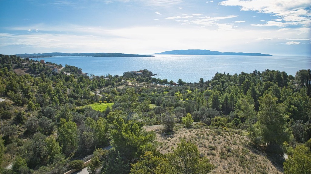 Αγροτεμάχια 880 τ.μ. πρός πώληση, Αργολίδα, Κρανίδι