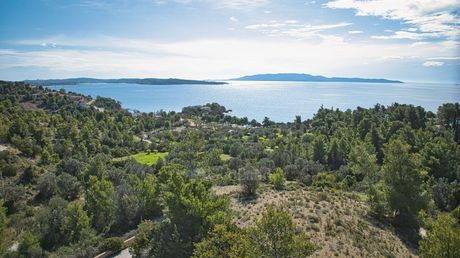 Αγροτεμάχια 880τ.μ. για πώληση-Κρανίδι » Βερβερούδα