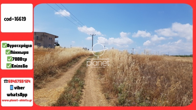 Αγροτεμάχια 7.000 τ.μ. προς πώληση, Λάκκωμα Καλλικράτειας