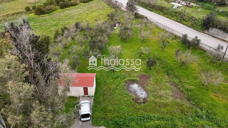 Οικόπεδο 8.173,42 τ.μ. προς πώληση, Παλική