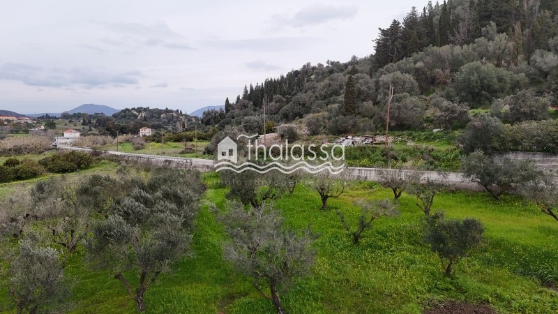 Οικόπεδο 8.173,42 τ.μ. προς πώληση, Παλική