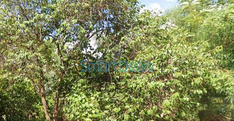 Land plot 370 sqm for sale