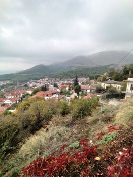 Οικόπεδο 745τ.μ. για πώληση-Ιωλκός » Ανακασιά