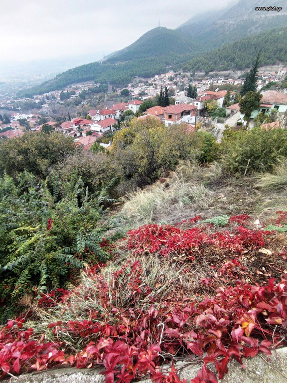 Οικόπεδο 745 τ.μ. πρός πώληση, Μαγνησία, Ιωλκός