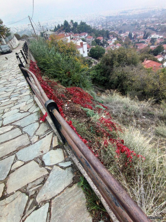 Οικόπεδο 745 τ.μ. πρός πώληση, Μαγνησία, Ιωλκός