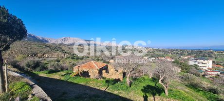 Οικόπεδο 5.300 τ.μ. για πώληση