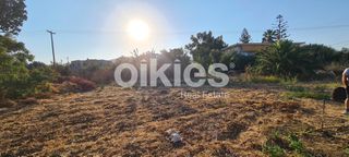 Οικόπεδο 1.800 τ.μ. για πώληση, Ν. Χίου, Χίος-thumb-3