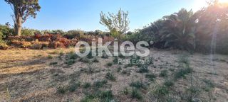 Οικόπεδο 1.800 τ.μ. για πώληση, Ν. Χίου, Χίος-thumb-5