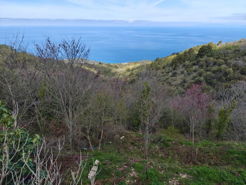 Οικόπεδο 318 τ.μ. πρός πώληση, Ν. Λευκάδας, Λευκάδα
