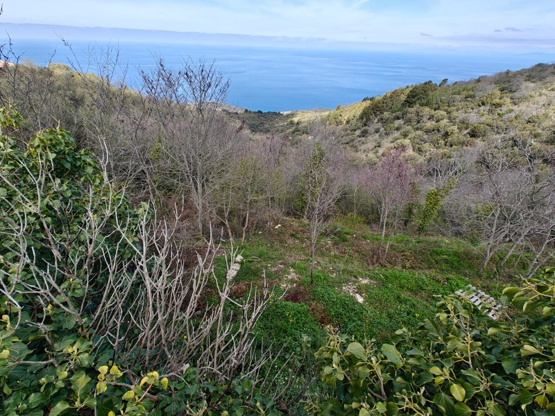 Οικόπεδο 318 τ.μ. πρός πώληση, Ν. Λευκάδας, Λευκάδα