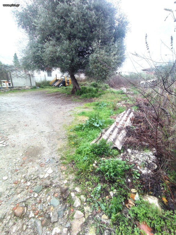 Οικόπεδο 280 τ.μ. πρός πώληση, Μαγνησία, Πορταριά