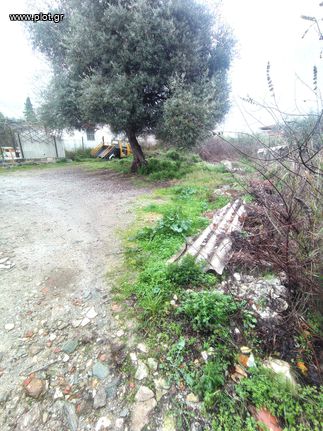 Land plot 280 sqm for sale, Magnesia, Portaria